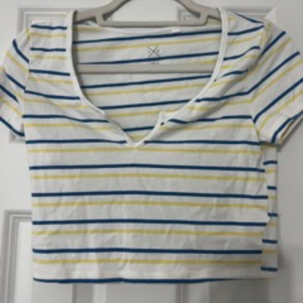PacSun Crop TShirt